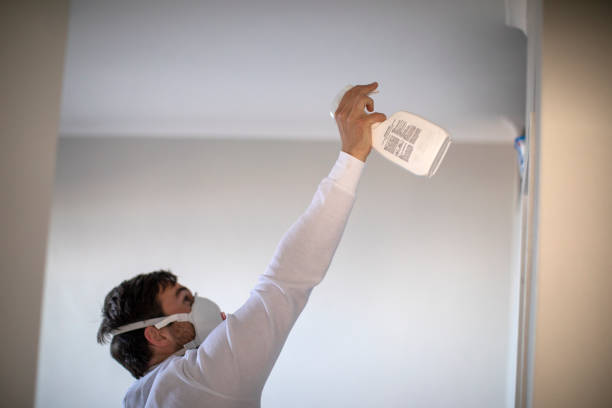 Best Preventive Mold Services in Buckhorn, CA